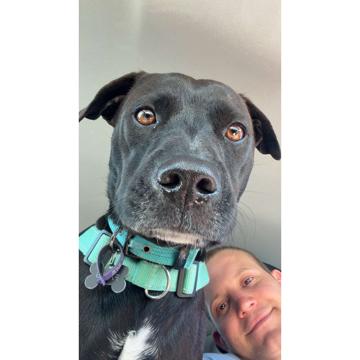 Lillian Anderson profile photo