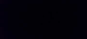 Nicolette Pappot profile photo