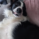 David O neill profile photo