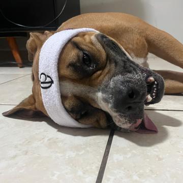 Fernando Tarciso Schamne Simões profile photo