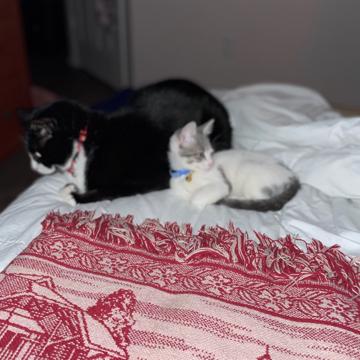 Gloria Broady profile photo