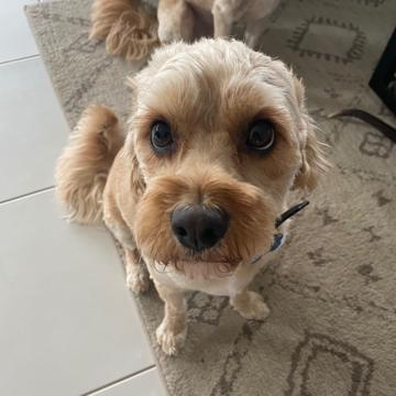 Luke Jasper profile photo