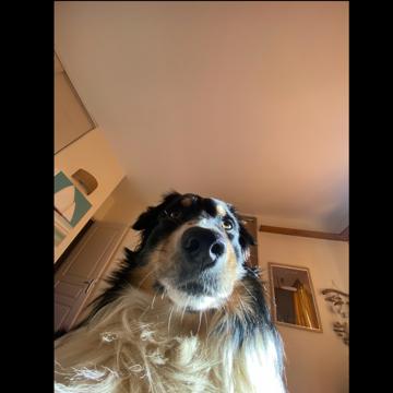 Paul Serin profile photo