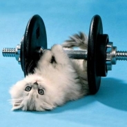 Deborah Mildren profile photo