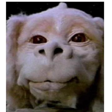 Daniel Jespersen profile photo