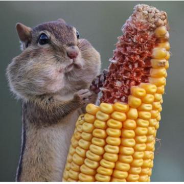 haram Park profile photo