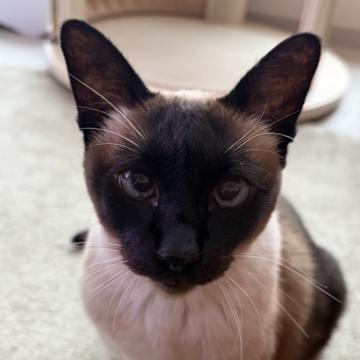 YeRam Lee profile photo