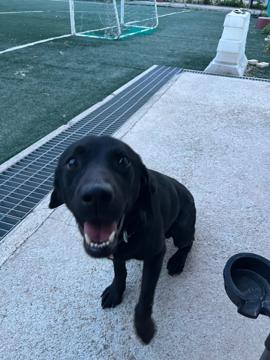 Geun young Park profile photo