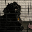 Julia Kanoff profile photo