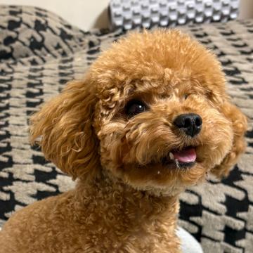 D D profile photo