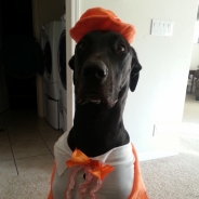 Laura Cardwell profile photo