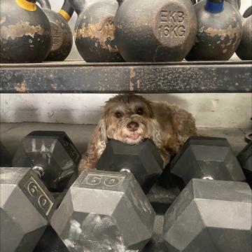 Emma Seymour profile photo