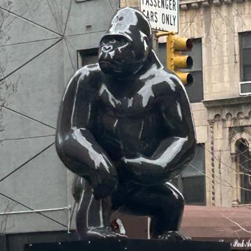 Kevin Prowse profile photo