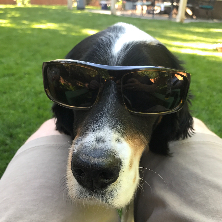 Tim Thometz profile photo