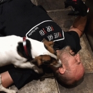 Jason Chapman profile photo