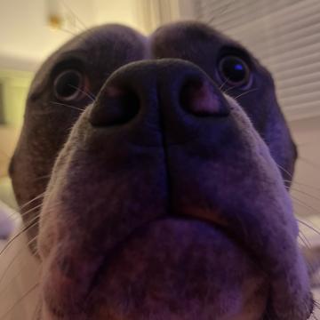 Jacob Grant profile photo