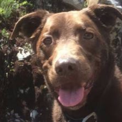 marc grenley profile photo