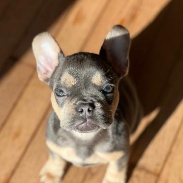 Connor Finnegan profile photo