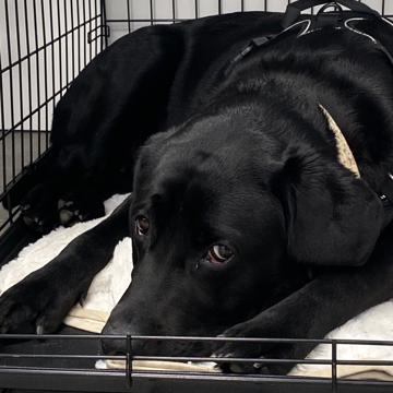 Kirk Blanchard profile photo