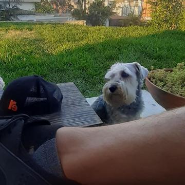 Carlos Garcia profile photo