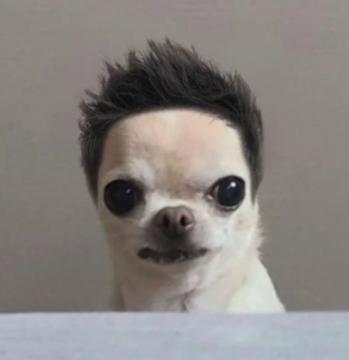 Colin Calvel profile photo