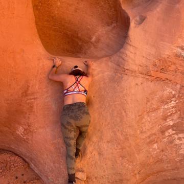 Tammy Waltz profile photo