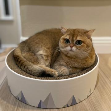 Jingfei Yu profile photo