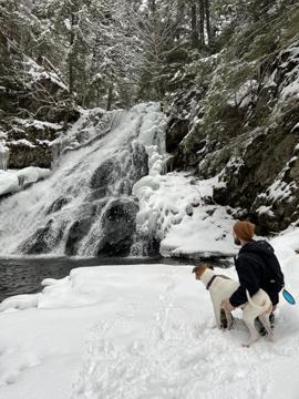 Tyler Boutilier profile photo