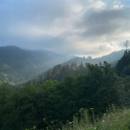 Sara Gavrock profile photo