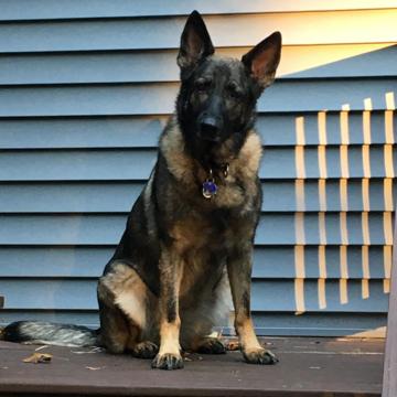 Stephen Palmer profile photo