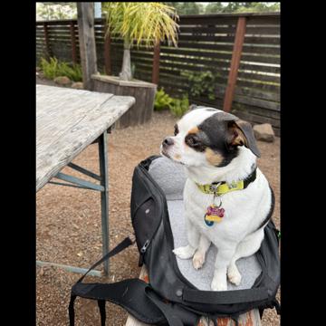 Patrick Thompsen profile photo