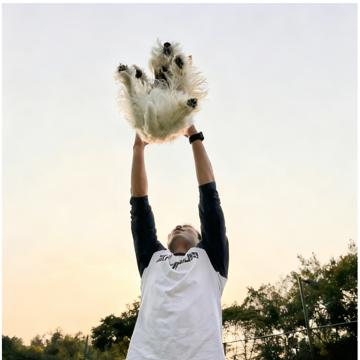 ZHANG XU profile photo