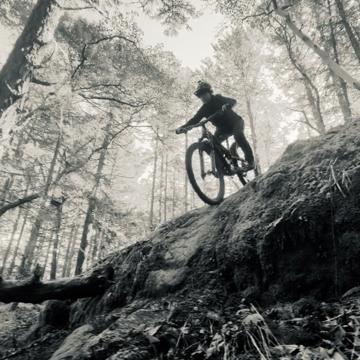 Stefanie Renn profile photo