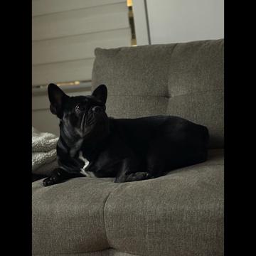 Brayan Sierra profile photo