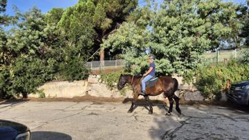 Isabelle Le floch profile photo