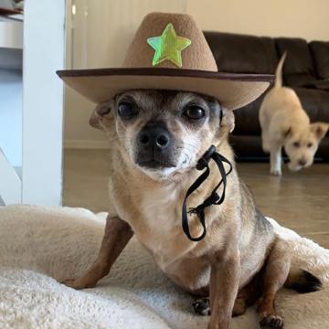 Jose Luquin profile photo