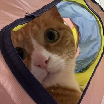 changjune lee profile photo