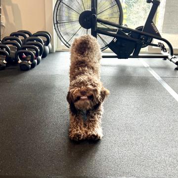 Mirla Cobb profile photo