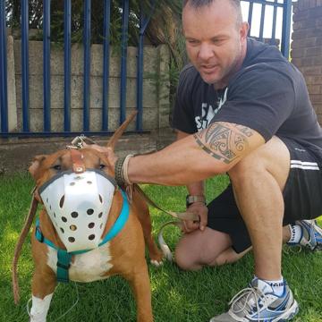 Stefan Van der Merwe profile photo