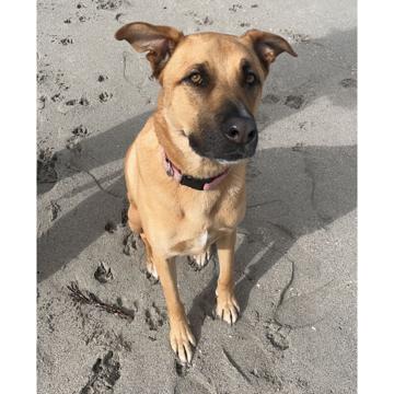 Connor Smith profile photo