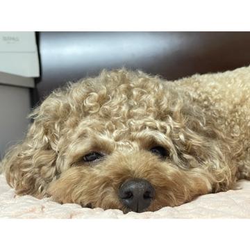 DONGGYU KIM profile photo