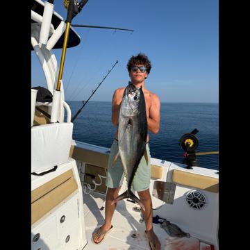 Anthony Martina profile photo