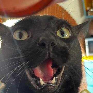 Salomé NuVa profile photo