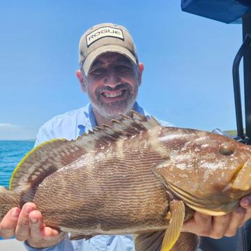 Steve Micallef profile photo