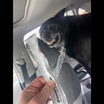 Travis Wolfe profile photo