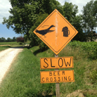 Tom Rowland profile photo