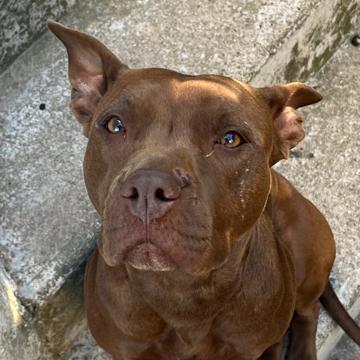 Jules GATIN profile photo