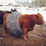 Renee Montgomery profile photo