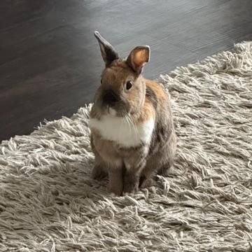 Eduardo Marcelino profile photo