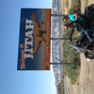 Muriel Pertus profile photo